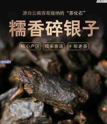 揭秘普洱茶与碎银子：它们是同一种茶吗？