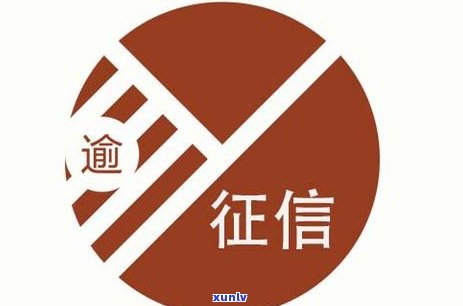 云南原生态普洱茶：古树韵味，品质生活