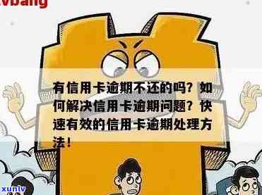 信用卡逾期信用怎么办：解疑释惑指南