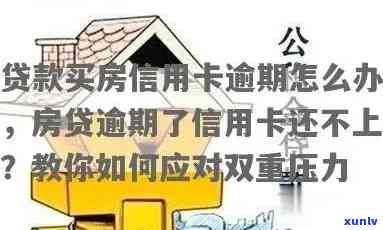 如何理解房解压与信用卡债务之间的关系