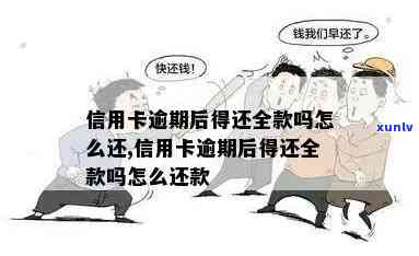 信用卡逾期后还了全款怎么办：影响、后续使用指南