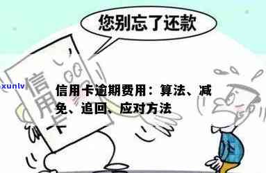 如何有效追讨信用卡逾期费用：处理策略详解