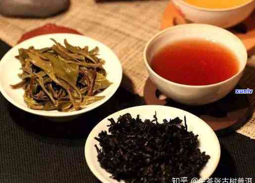 三高喝普洱生茶还是熟茶：生茶熟茶效果对比解析