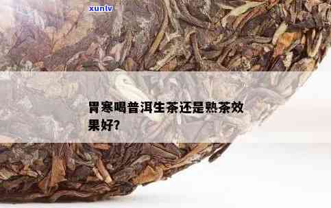 胃寒喝普洱生茶还是熟茶：效果对比与适宜选择