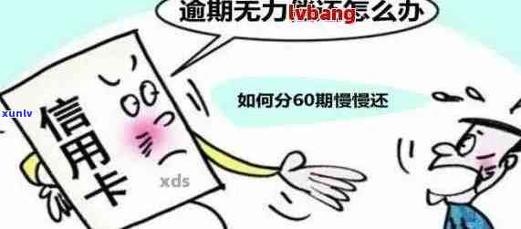 信用卡一万逾期无力偿还-信用卡一万逾期无力偿还怎么办