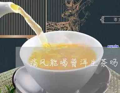 痛风可以喝生普茶吗：普洱与生茶的风味与痛风的关系探讨