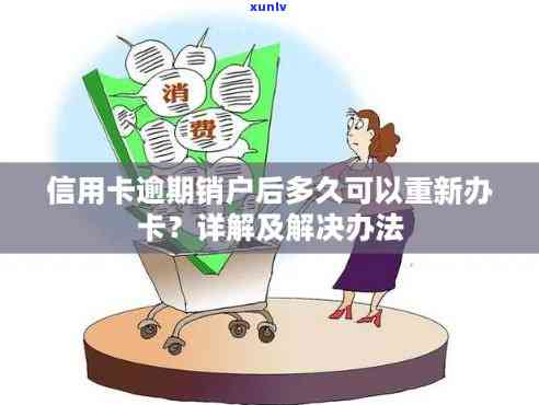 如何解决信用卡逾期问题并重新申请新卡