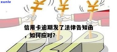 严打击逾期催告函件，保障信用体系健发展