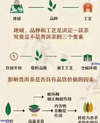 探究生普转化所需时间：揭秘茶叶陈化的奥秘