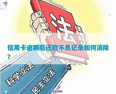 信用卡可以消除逾期嘛现在:逾期还款与不良记录解决方案