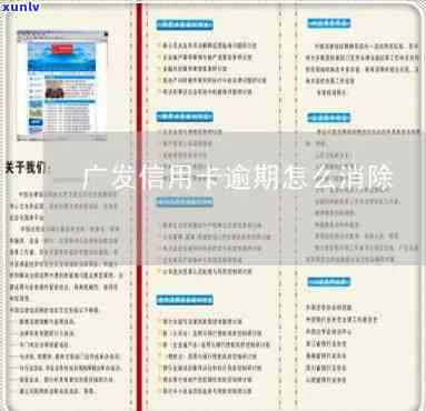 广发信用卡年底逾期-广发信用卡年底逾期怎么办