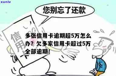 信用卡逾期五万透支,会发生什么?