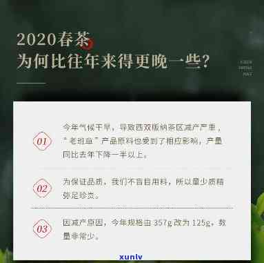 2020年陈升老班章125克小饼品质及价格分析，升值空间评估