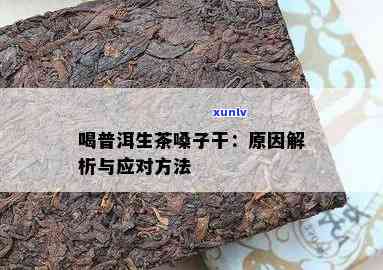 解析喝熟普洱茶导致嗓子干的原因