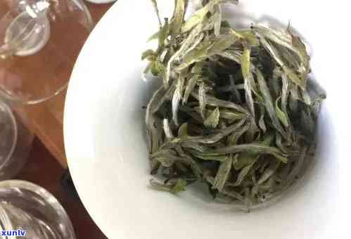 普洱银毫茶多少钱：揭秘珍稀茶叶的价格因素