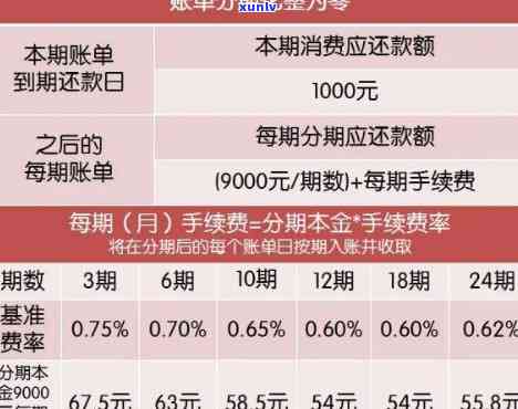 能否申请减免建行信用卡逾期利息？逾期还款应对指南