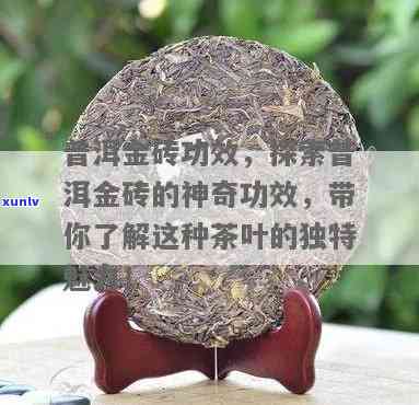 普洱小金砖：神秘的功效与作用揭示