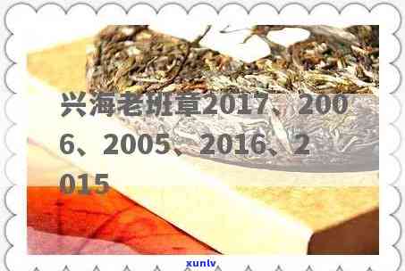 兴海老班章2006-兴海老班章2005