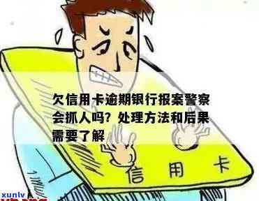 手镯豆种翡翠：价值评估，品质鉴别与选购指南