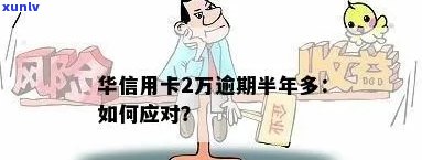 华信用卡2万欠款逾期半年多，持卡人面临严重信用风险