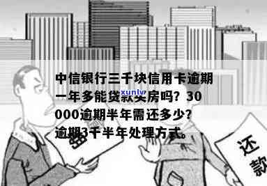 中信信用卡3000元逾期利息多少：逾期半年/一年多还款及贷款买房情况