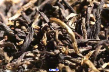 隔夜熟普洱茶可以继续泡茶喝吗：原因与安全指南