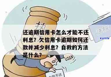 信用卡逾期怎么处理掉：利息减免、自救 *** 与后果