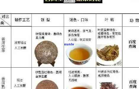 普洱茶功效作用与主治：熟生茶效用、适宜时间与禁忌