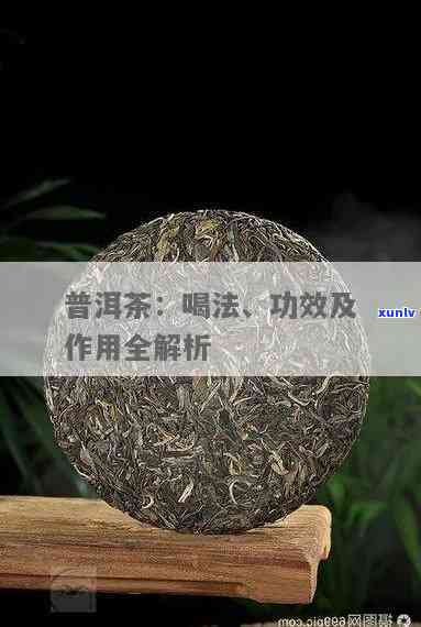 普洱功效作用与主治-普洱茶功效作用与主治