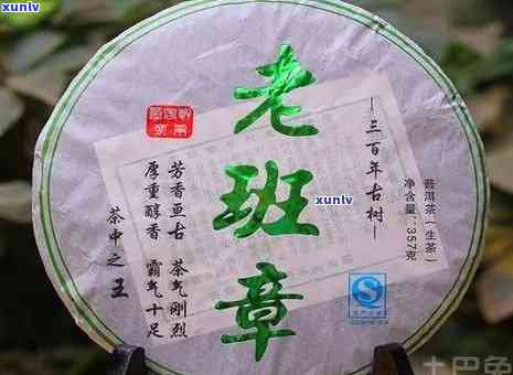 2011年老班章普洱茶市场价格分析