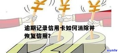 解决信用卡逾期难题，恢复良好信用记录