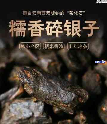 探寻普洱碎银子哪家更优质：品味茶香中的故事