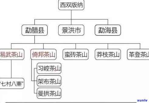 探究普洱茶的源产地：普洱与哪个接？