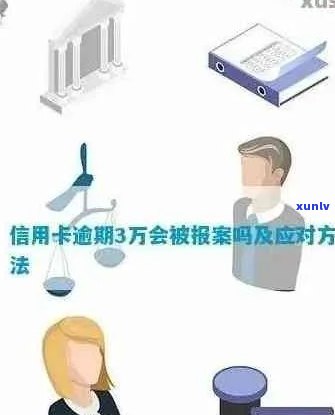 南城信用卡逾期案件最新消息：查询与通知汇总