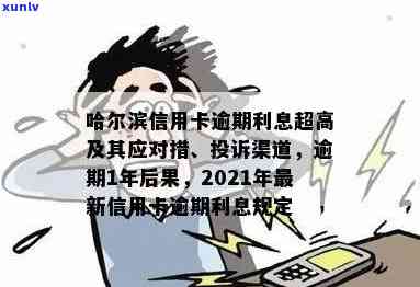 哈尔滨信用卡逾期现象分析与应对策略