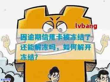 信用卡逾期 *** 被冻结怎么办？逾期信用卡冻结解冻指南