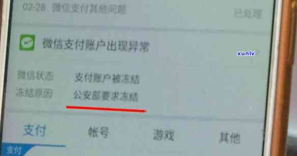 欠信用卡被冻结后，蓄卡和微信账户如何处理与恢复正常