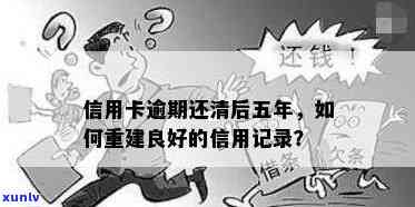 解决信用卡逾期难题，恢复良好信用记录-解决信用卡逾期难题,恢复良好信用记录