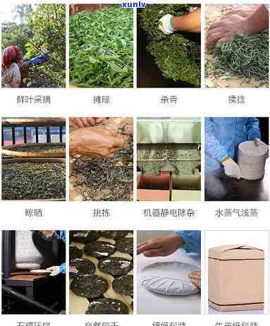 匠人制茶3531世典藏价格及所用茶叶级别