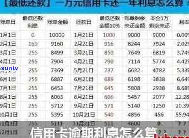 信用卡逾期后利息罚息-信用卡逾期后利息罚息多少