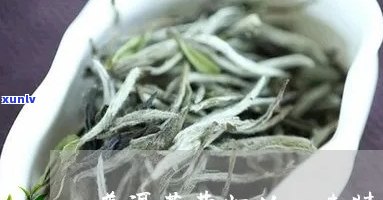 普洱品昔归茶的特点-昔归普洱茶口感