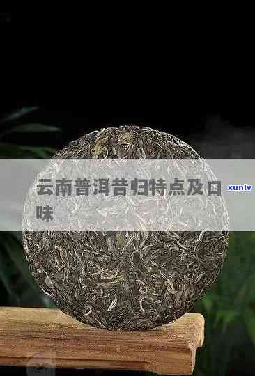 揭秘昔归普洱茶：历传承与品鉴之道