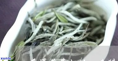 普洱茶昔归的口味特点：昔归普洱茶的独特风味解析