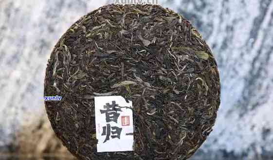 普洱茶昔归的口味特点：昔归普洱茶的独特风味解析