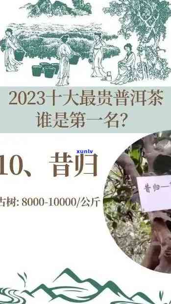 昔归普洱生茶价格2013-2023表：一饼多少钱