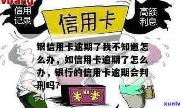 银信用卡逾期了我不知道怎么办：信用卡逾期后自救办法与逾期后果解析