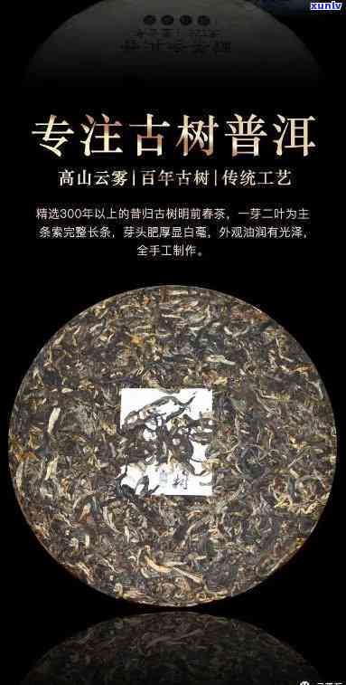 普洱昔归茶：低海拔茶园的瑰宝