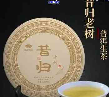 昔归普洱生茶价格解析：一饼昔归普洱生茶多少钱？