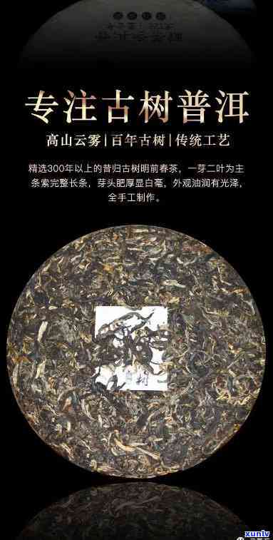 普洱昔归茶：低海拔茶园的传奇佳品