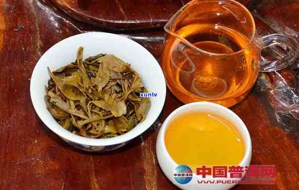 普洱昔归茶叶口感特点：生熟茶风味解析